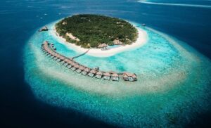 dusitmaldivesresort.com
